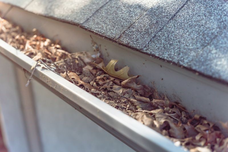 Clogged Gutter Debris