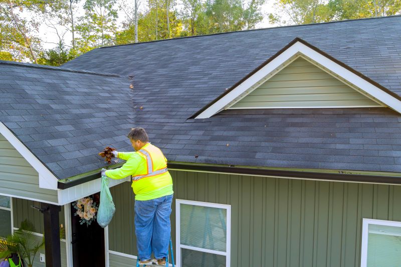 Specialized Gutter Service Firms