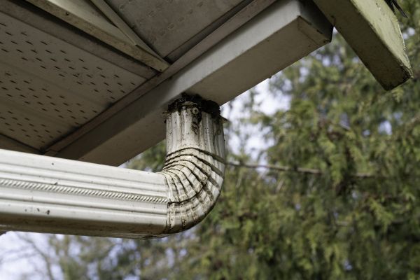 Roof Drain Replacement in Frankfort